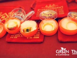 เปิด 3 ธุรกิจออนไลน์ต้นแบบความสำเร็จ โมเดล Green e-Commerce