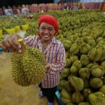 Durian