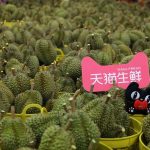 Durian _Tmall Fresh