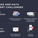 It Priorities and Data Management Challenges