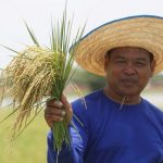 Rice_130