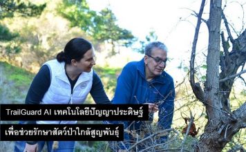 TrailGuard AI