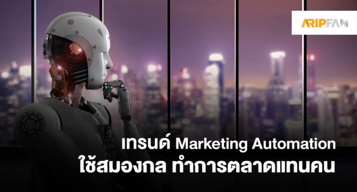 Marketing Automation