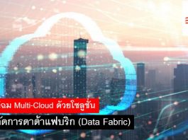 พลิกโฉม Multi-Cloud ด้วยโซลูชั่นการจัดการดาต้าแฟบริก (Data Fabric)
