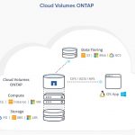 NetApp Cloud Volumes ONTAP