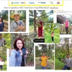 digital technology for Thai Farmers (5)